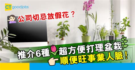 辦公室放假花